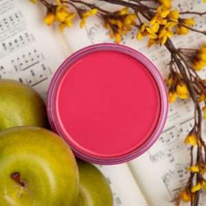 Dixie Belle Peony Chalk Mineral Paint 473ml