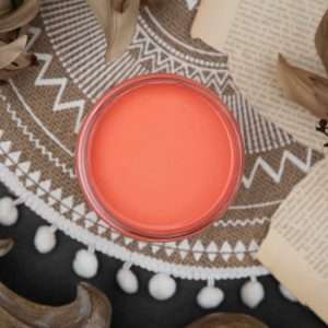 Dixie Belle Flamingo Chalk Mineral Paint 473ml